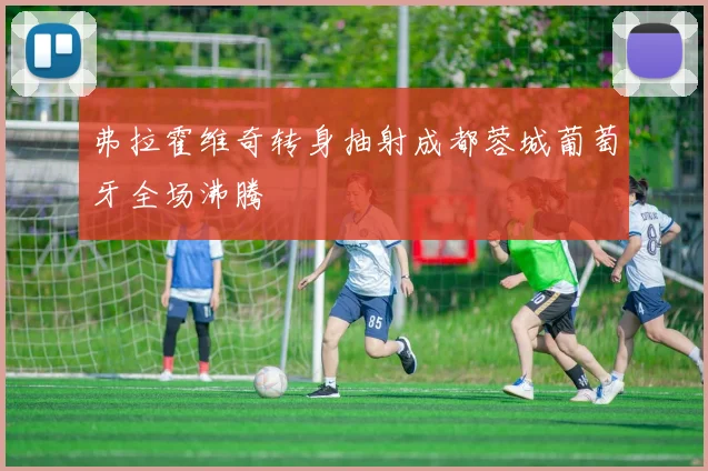 弗拉霍维奇转身抽射成都蓉城葡萄牙全场沸腾