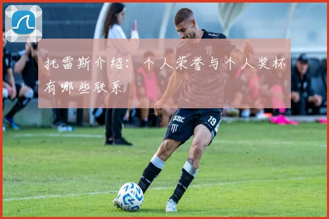 托雷斯介绍:个人荣誉与个人奖杯有哪些联系