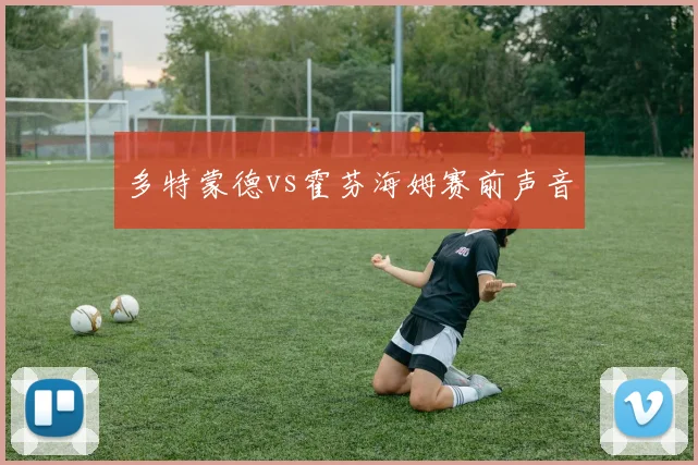 多特蒙德vs霍芬海姆赛前声音