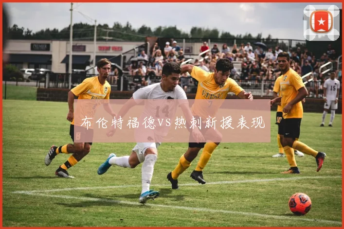 布伦特福德vs热刺新援表现