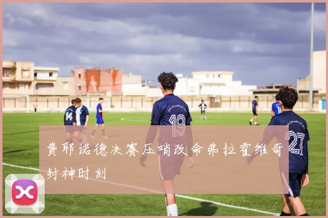 费耶诺德决赛压哨改命弗拉霍维奇封神时刻